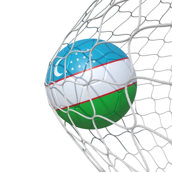 Uzbekistan Uzbek flag soccer ball inside the net, in a net. — Stock Photo, Image