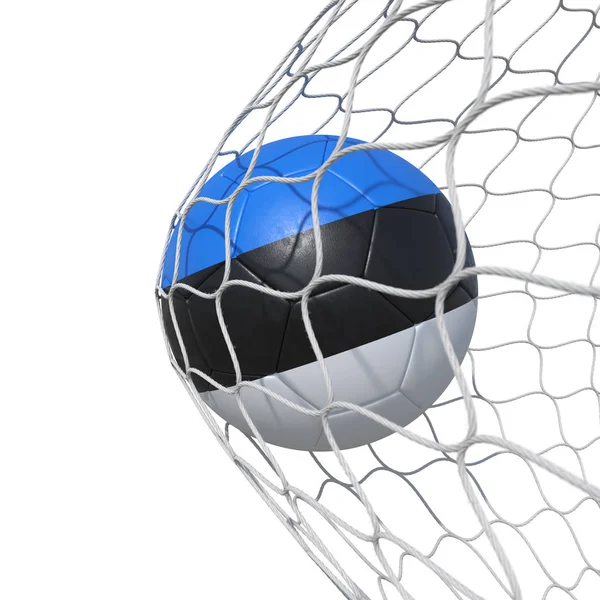Estonia Estonian flag soccer ball inside the net, in a net. — Stock Photo, Image