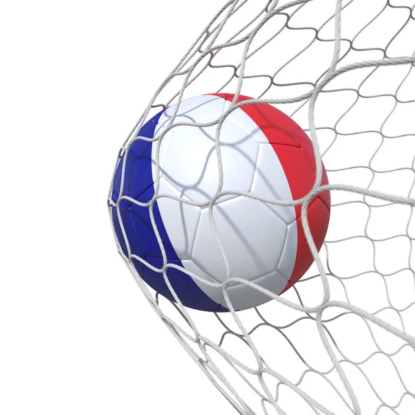 France French flag soccer ball inside the net, in a net. — Stock Photo, Image