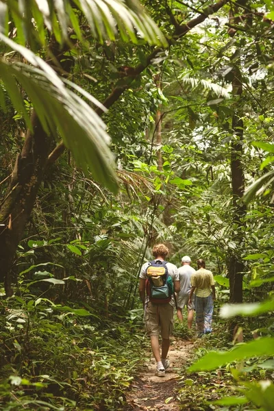 Tourists in the jungle — Stock Photo, Image