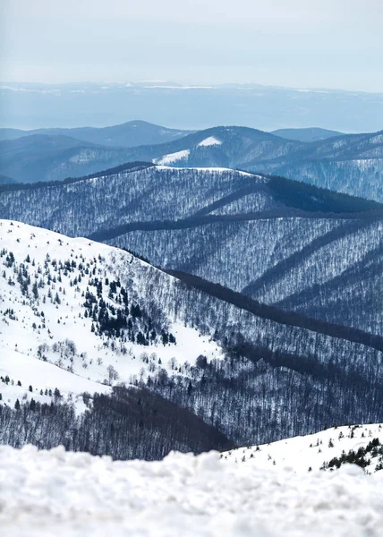 겨울, Carpathians, 우크라이나 산 — 스톡 사진
