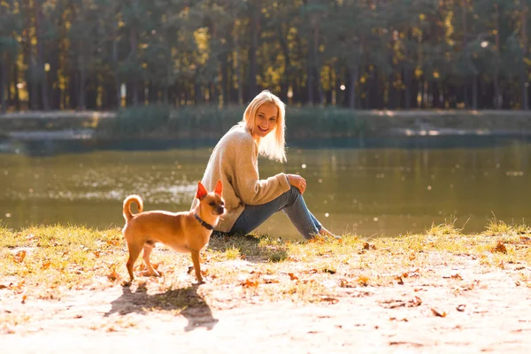 Fille Dans Parc Automne Près Lac Détient Une Tablette — Photo