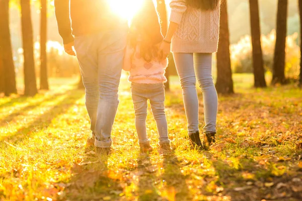 楽しい秋の公園で遊ぶ家族 — ストック写真