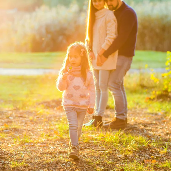 Семья играет в осеннем парке, развлекаясь на закате — стоковое фото