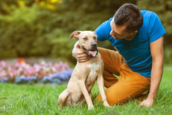 Chlap se svým psem objímání v parku — Stock fotografie