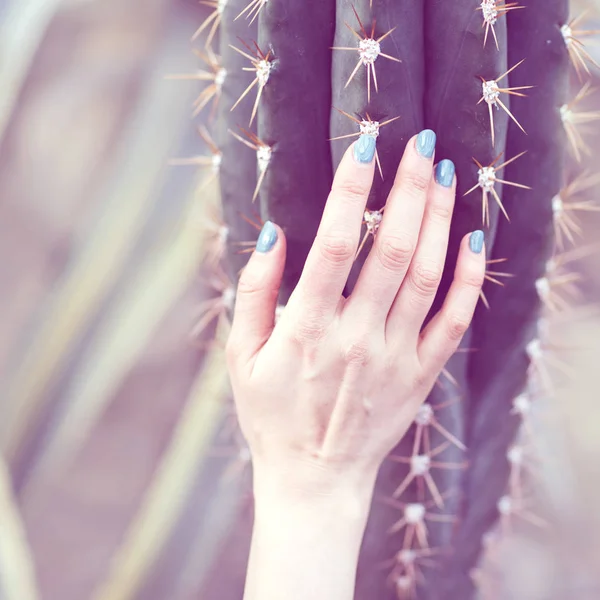 De hand houdt een grote cactus, beauty concept. Art Contemporary — Stockfoto