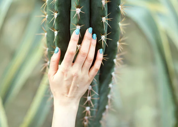 Die Hand hält einen großen Kaktus, Schönheitskonzept. zeitgenössische Kunst — Stockfoto