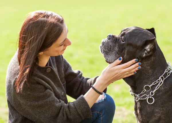 Gadis di taman berjalan dengan anjing besar mereka Cane Corso — Stok Foto