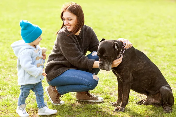 Mãe e filha no parque andando com seu cão grande Cana Corso — Fotografia de Stock