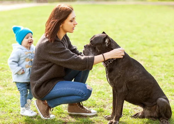 Mãe e filha no parque andando com seu cão grande Cana Corso — Fotografia de Stock