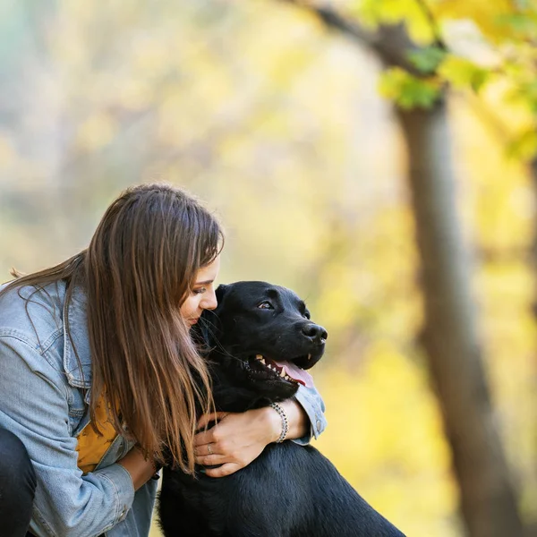 Chica con perro labrodor en otoño parque al atardecer —  Fotos de Stock