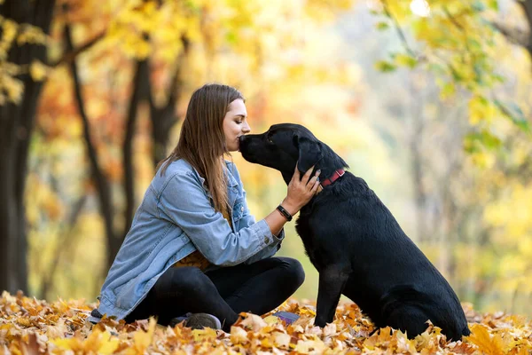 Girl with dog labrodor in autumn park at sunset — Stockfoto