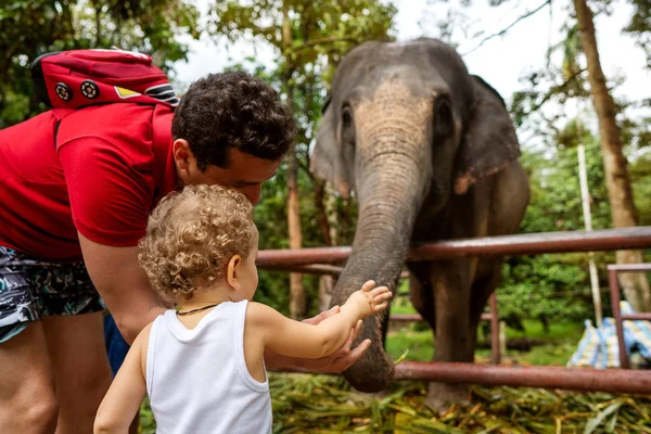 Père avec fils nourrir éléphant dans thailand — Photo