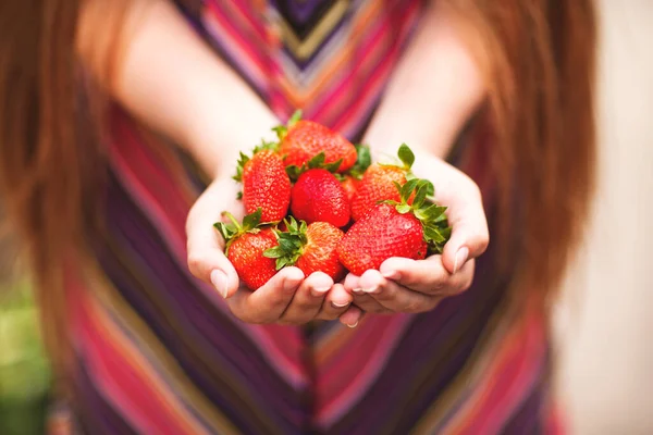 Mädchen Hält Viele Erdbeeren Zum Mitnehmen Eigenen Garten Zum Verkauf — Stockfoto