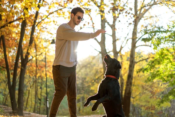 Cara Óculos Sol Abraça Seu Cão Parque Outono — Fotografia de Stock