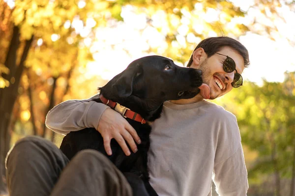 Man Zonnebril Knuffelt Zijn Hond Herfst Park — Stockfoto