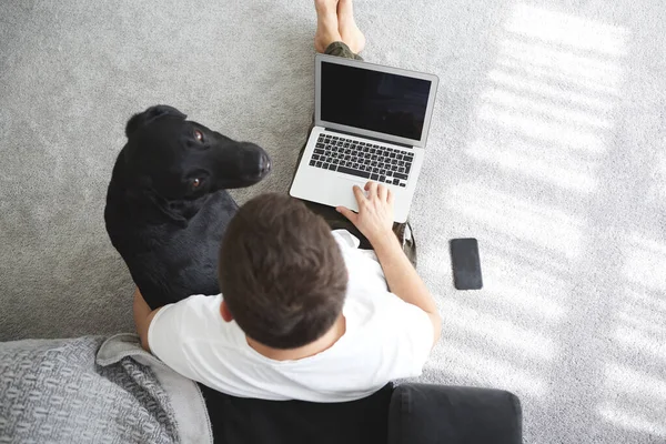 Freelancer Guy Met Laptop Hond Werkt Thuis Quarantaine Coronavirus Infectie — Stockfoto