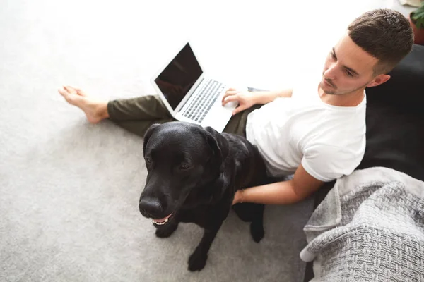Ελεύθερος Επαγγελματίας Τύπος Φορητό Υπολογιστή Και Σκυλί Εργάζεται Στο Σπίτι — Φωτογραφία Αρχείου