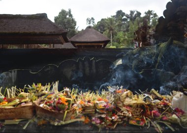 Bali 'deki kutsal pınarlar tapınağı