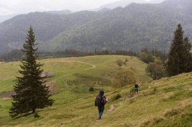 Turistler Karpatlar 'a gitmek için dağlara giderler.