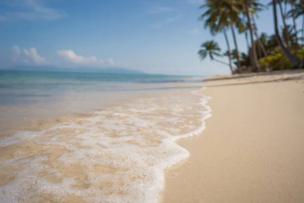 Beach Tropical Island Palm Trees Thailand — Stock Photo, Image