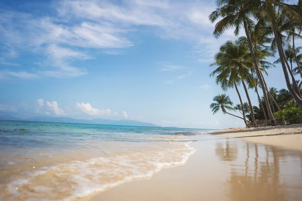 Beach Tropical Island Palm Trees Thailand — Stock Photo, Image