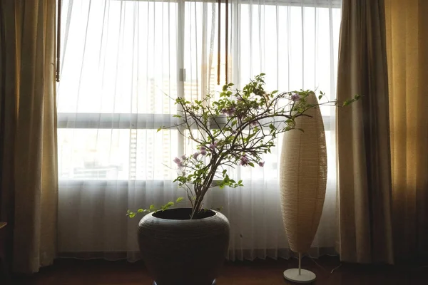 beautiful vase with a flower in the interior opposite the window