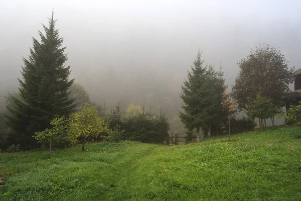 Piękny Krajobraz Górski Mgle Karpat Ekoturystyka — Zdjęcie stockowe