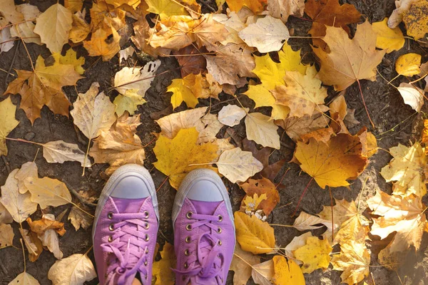 秋天黄叶上的运动鞋 — 图库照片