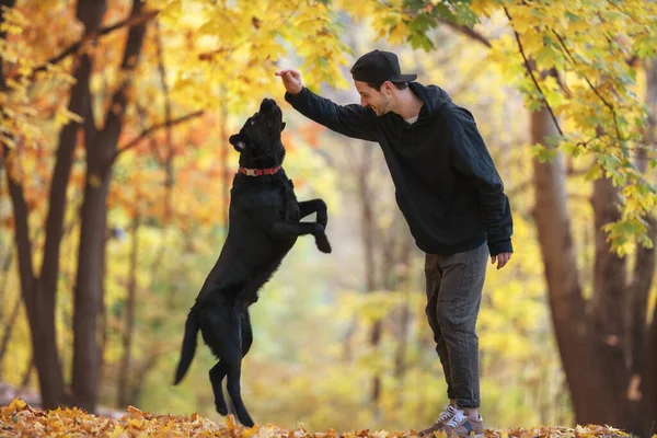 Chico Con Perro Labrador Otoño Soleado Parque —  Fotos de Stock