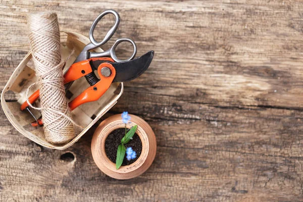 Gardening Tools Rake Tourniquet Shovel Scissors Vintage Wooden Table Spring — Stock Photo, Image