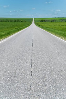 Yeşil alanlar arasında geniş asfalt yol