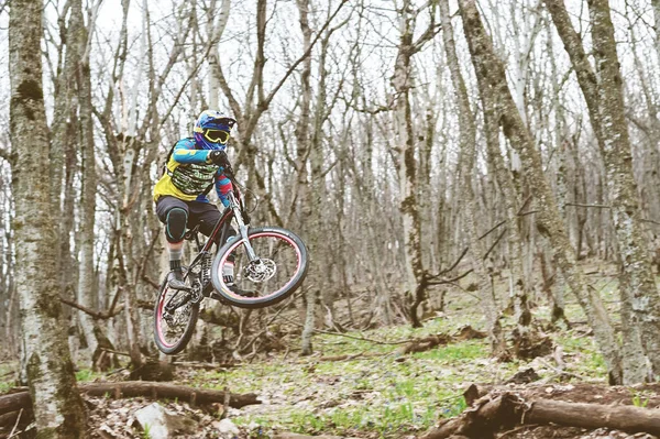 A mountain bike rider jumps from a springboard in a foggy forest, in the Caucasus Mountains