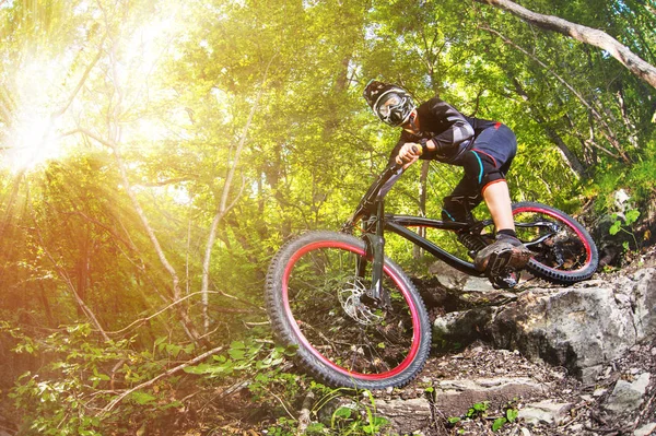 Sport. Un ciclista in bicicletta con una mountain bike nel bosco — Foto Stock