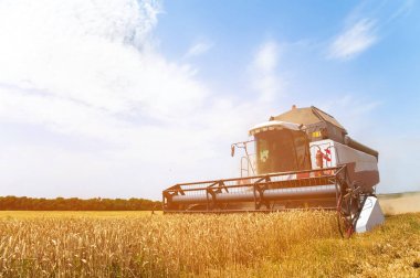 Bir buğday alanı birleştirmek hasat iş güneşli bir günde