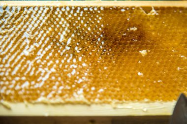 Bir çerçeve içinde yerleştirilir peteğin bitmemiş taze bal