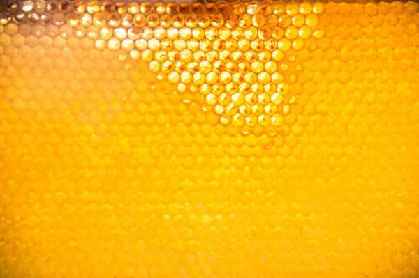 Unfinished fresh honey in honeycombs — Stock Photo, Image