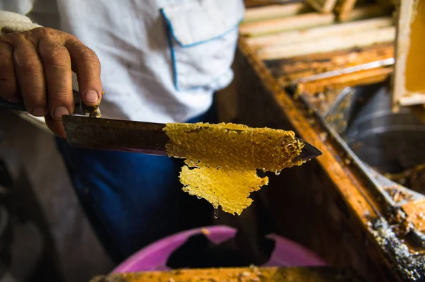 Mano de mans y un cuchillo especial para cortar una cera de un marco de miel —  Fotos de Stock