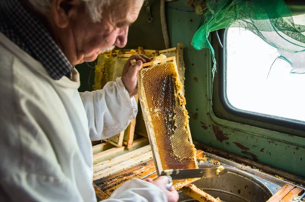 Včelaře odděluje vosk od rámečku plástev. — Stock fotografie