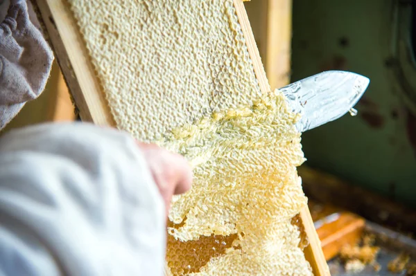 De imker scheidt de wax van het frame van de honingraat. — Stockfoto