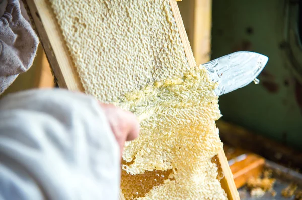 L'apiculteur sépare la cire du cadre en nid d'abeille . — Photo