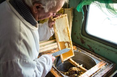 Arıcı balmumu petek çerçevesinden ayırır..