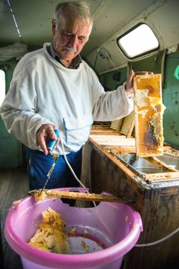 Arıcı balmumu petek çerçevesinden ayırır..
