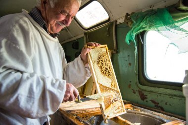 Arıcı balmumu petek çerçevesinden ayırır..