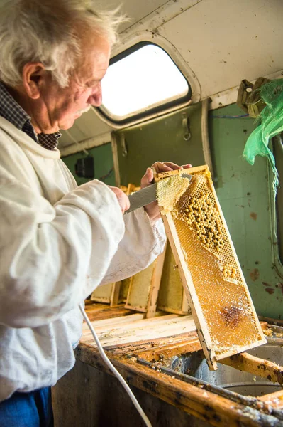 The beekeeper separates the wax from the honeycomb frame.