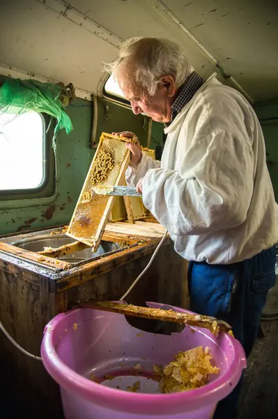 L'apiculteur sépare la cire du cadre en nid d'abeille . — Photo