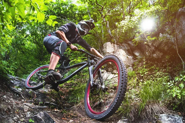 Deporte. Un ciclista en bicicleta con una bicicleta de montaña en el bosque —  Fotos de Stock