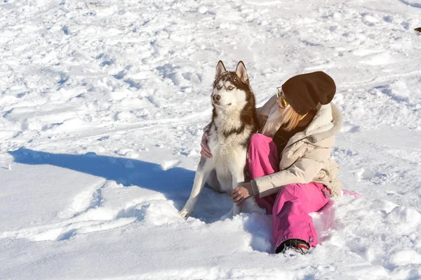 Девушка со своей милой собакой Хаски на прогулке — стоковое фото