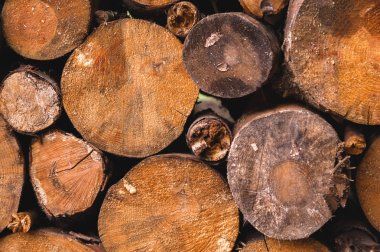 yakacak odun düz koydu