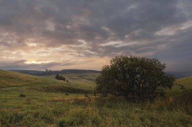 Bulutlu hava alanında bir eğimli üzerinde yuvarlak haystack yeşil